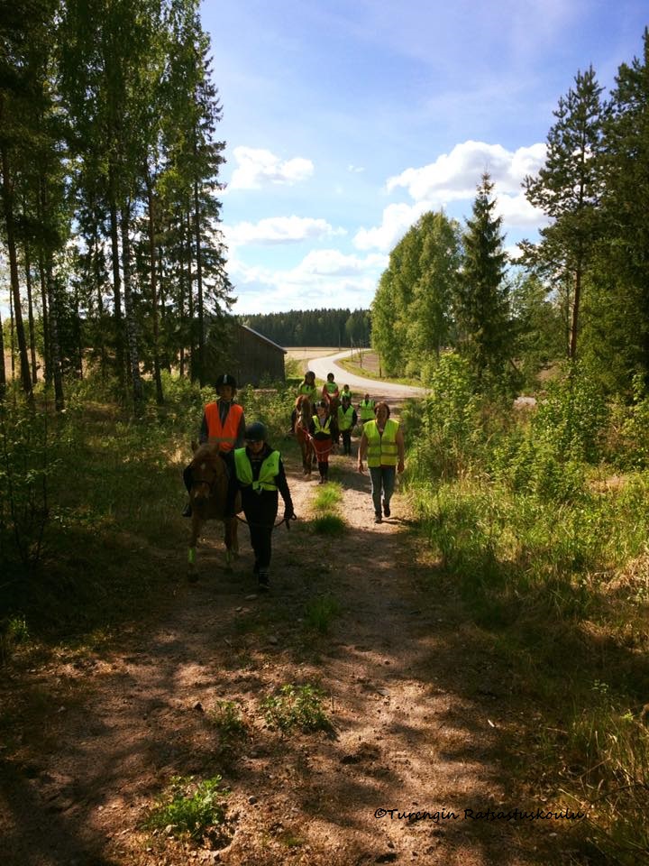 Ratsukoita ja taluttajia metsätiellä kesällä